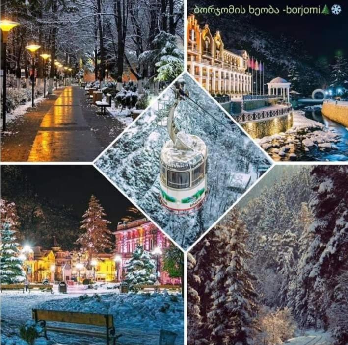 Gamsakhurdia Street Borjomi Eksteriør billede