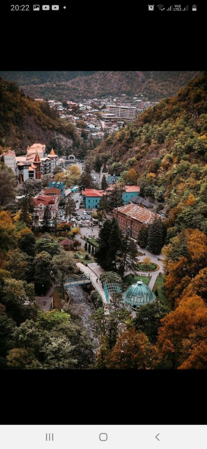 Gamsakhurdia Street Borjomi Værelse billede
